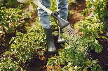 Best Way to Do Eco and Agriculture